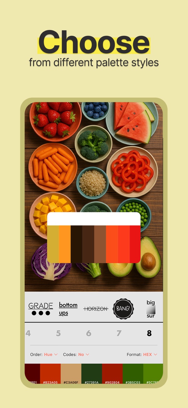 Color Viewfinder screenshot 3
